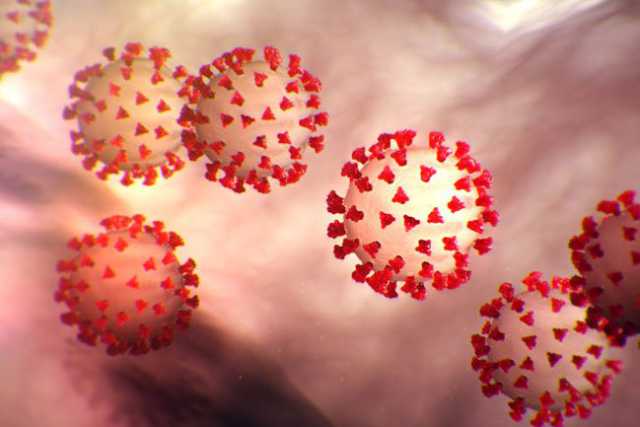 Coronavirus, 42 i nuovi casi in Puglia: positivo il 2% dei tamponi