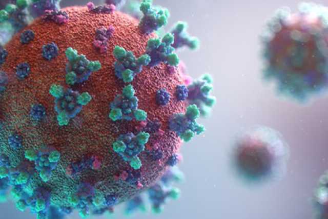 Coronavirus, in Puglia 8 nuovi casi: positivo lo 0,41% dei tamponi