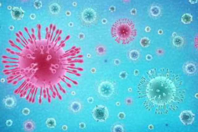 Coronavirus, in Puglia 26 nuovi casi: positivo l'1,43% dei tamponi