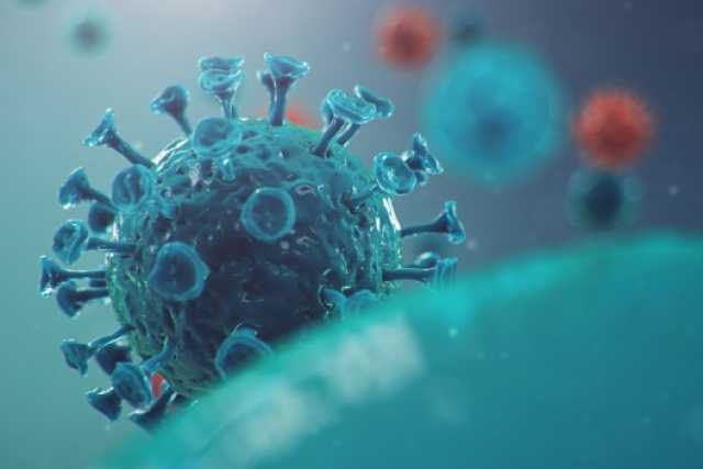 Coronavirus, in Puglia 4 nuovi casi: positivo lo 0,40% dei tamponi