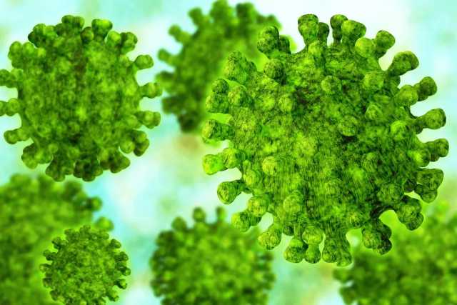 Coronavirus, in Puglia 10 nuovi casi: positivo lo 0,47% dei tamponi