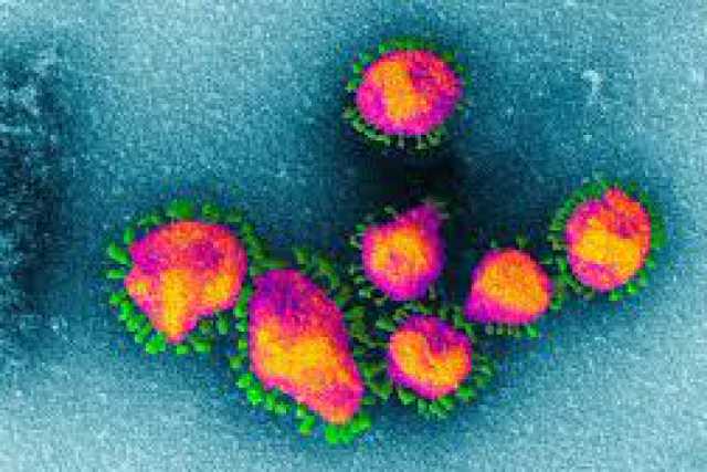 Coronavirus, in Puglia 43 nuovi casi: positivo il 2,02% dei tamponi