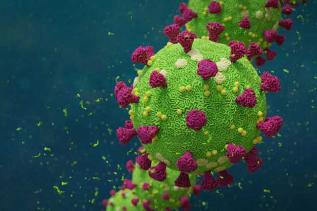 L'emergenza sanitaria e il boom di iscritti nelle universit� telematiche