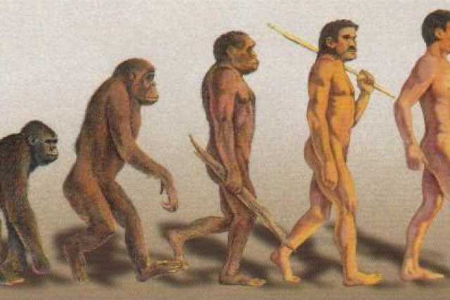 Da cosa deriva l'uomo? Da un topo-ragno: il ''purgatorius''