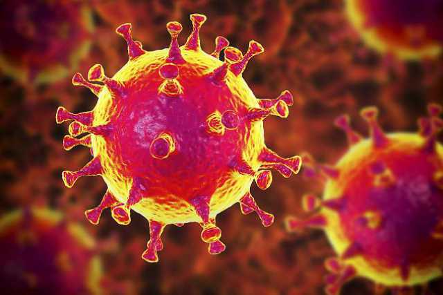 Coronavirus, 91 i nuovi casi in Puglia: i contagi salgono a 1803
