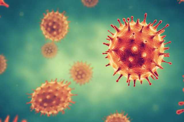 Coronavirus, in Puglia un solo nuovo caso: positivo lo 0,04% dei tamponi