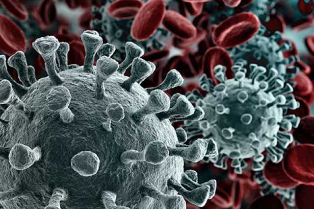 Coronavirus, in Puglia 11 nuovi casi: positivo lo 0,49% dei tamponi