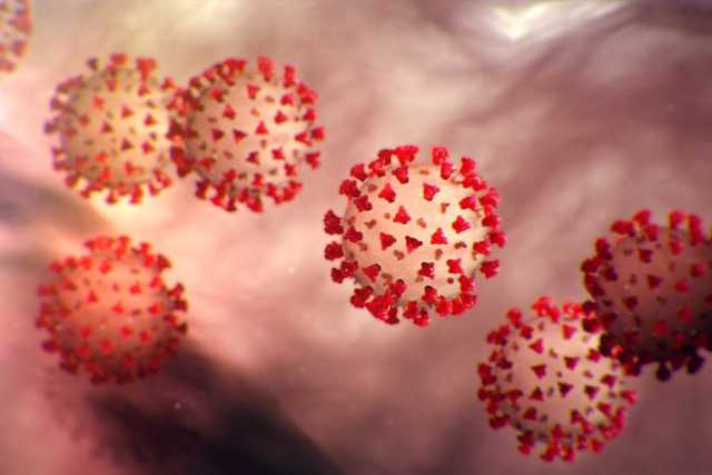 Coronavirus, in Puglia 87 nuovi casi: sale a 407 il numero dei contagiati