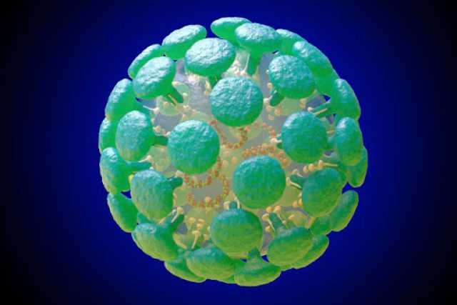 Coronavirus, in Puglia 42 nuovi casi: salgono a 478 i contagiati (10 residenti in altre regioni)