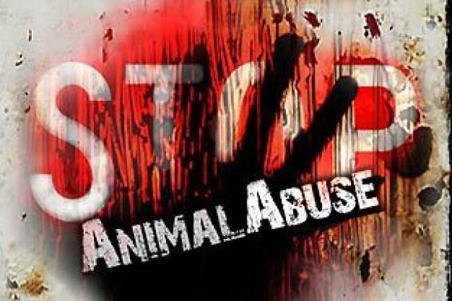 La zooerastia: c'� chi fa sesso con gli animali. Una petizione per vietarla