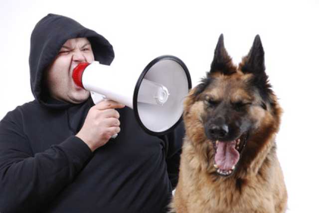 �Punizioni e indifferenza�: per educare i cani non bastano le coccole
