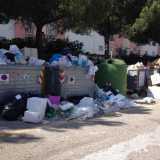 Ogni giorno cos� appare l'area ecologica del Campus