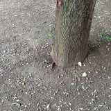 Interno Parco 2 giugno