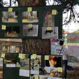 Festa del Cane a Palo del Colle