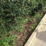 Aiuole esterne a Parco 2 giugno
