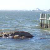 Il mare di Goteborg