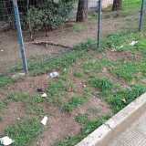 Aiuole esterne a Parco 2 giugno