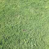 Interno Parco Perotti