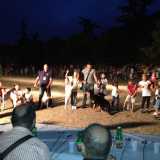 Festa del Cane a Palo del Colle
