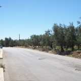 Strada del Carro