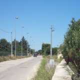 Carrara del Carro