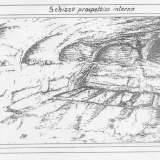 Schizzo degli interni dell'ipogeo