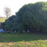 Degrado e prostituzione a Parco Perotti
