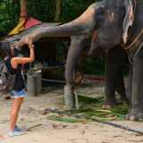 Bangkok, Manuela in compagnia di un elefante 
