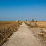 Strada di collegamento fra le tre piattaforme di lancio della ex base missilistica in localit� Ceraso nell'Alta Murgia