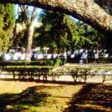 Piazza Umberto riempita di poesie