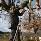 L'installazione delle mangiatoie sull'albero