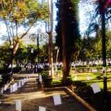 Piazza Umberto riempita di poesie