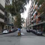 Via Di Tullio e il caratteristico eucalipto che taglia in due la strada