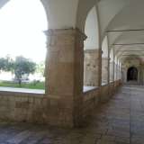Foto 14c: il grande chiostro di San Francesco della Scarpa 
