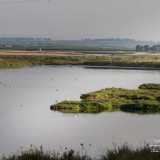 Proseguiamo verso nord per un altro chilometro, approdando sulla foce Aloisa, una delle tante che mette in comunicazione le saline con il mare, ma l�unica a essere collegata a una leggenda: quella dell��alma dannata�, che vede protagonista Annibale e l'amore impossibile con una prostituta, poi lapidata
