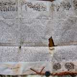 ...�Purtroppo la grafia � di difficile lettura � ammette Michele - ma tratta sicuramente di privilegi nobiliari�