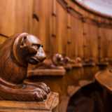 ... a sculture in legno di felini che osservano fieri il visitatore