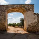 Un moderno cancello automatico, inserito in un antico portale in pietra ad arco a tutto sesto, ci permette di solcare il viale principale della tenuta