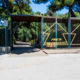 Per fare la loro conoscenza varchiamo il cancello azzurro della �Pineta grande�, una delle due aree in cui � diviso il grande giardino pubblico del quartiere San Girolamo