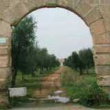 Lama Villa Lamberti