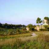 Lama San Giorgio
