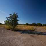 Del circuito non rimane granch�: anche se tracce di asfalto sbucano dalla vegetazione incolta...
