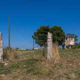 ...che ci conduce ai resti di due colonne in pietra che un tempo racchiudevano un cancello