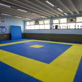 ...judo e lotta greco-romana...