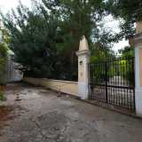 Sulla nostra destra notiamo per� un piccolo e armonioso cancello circondato dagli alberi e racchiuso tra due pilastri di color giallo. Capiamo quindi di essere arrivati al cospetto della villa pi� �segreta� di Bari