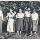 Gli anziani passavano il tempo in qualche modo. Ad esempio il nonno di Vito coltivava un frutteto in un pezzetto di terra attiguo, che rappresentava per tutti un posto di �villeggiatura�