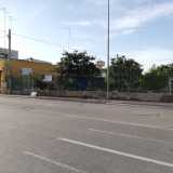 Il posto � nascosto da una cancellata verde presente in via Domenico Cotugno, poco dopo aver superato il trafficatissimo incrocio tra viale Papa Giovanni XXIII e viale Orazio Flacco
