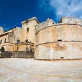 ...sembra proprio ricordare quella poligonale del maniero di Conversano