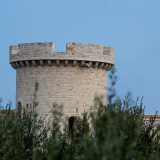...tra cui la bianca torre principale