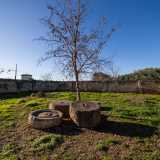 ...e ci introduciamo nel giardino interno attraverso un cancello cinto da un alto muretto. Al centro, ai piedi di un alberello, sono posizionati quattro oggetti tondi di pietra